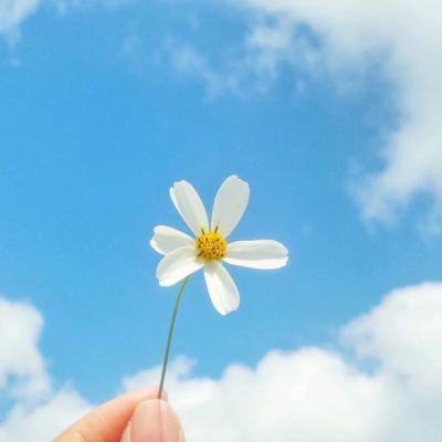 百家乐凯发k8官方网入口