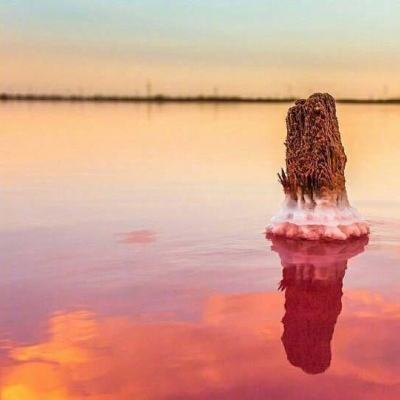 ManBetX手机网页版登录注册截图