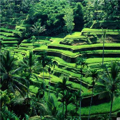 百家乐凯发k8官方网入口