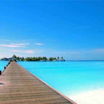 麻将胡了pg网站