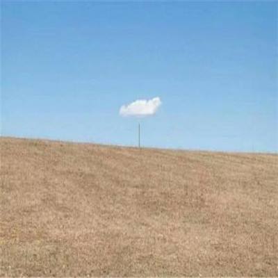 365平台官方版下载手机app下载