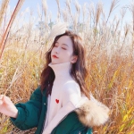 火狐电竞手机app下载